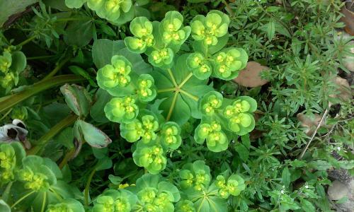 йحֹǳ±ô򵥣Ƶ