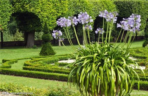 浙江:骚扰电话挤占 110总接警量超四成为无效警情