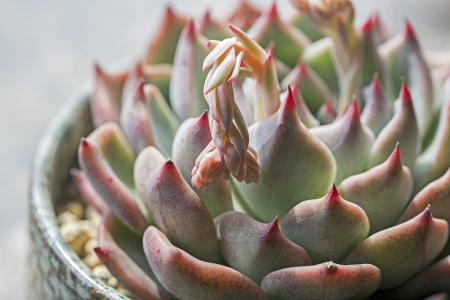 籩Ϯ ½߷ٳÿСʱ100