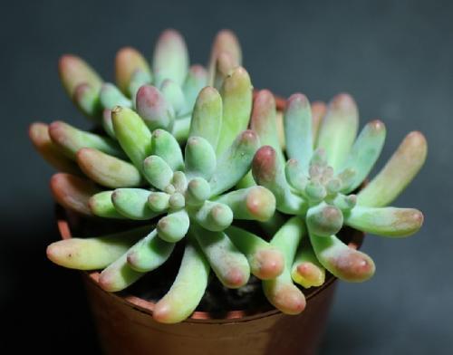 沈阳在市内9区开展全员核酸检测 非必要不离沈