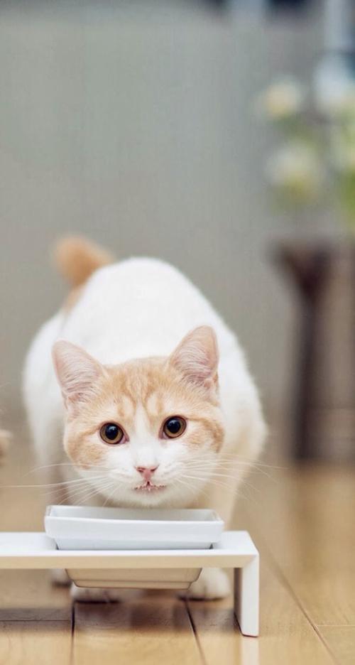 美疾控中心:变异新冠病毒已在美国发生人际传播