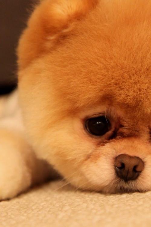 ÖÐ×鲿²¦1.97ÒÚÔªÓÃÓÚοÎÊÀ§Äѵ³Ô±Àϵ³Ô±Àϸɲ¿