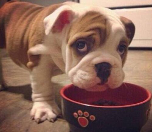 ÔÚÏß½ÌÓý³ÉµÁ°æ·ºÀĵġ°ÖØÔÖÇø¡± άȨÀ§ÄÑÖØÖØ