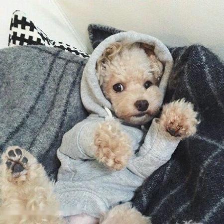 ´ó¹ú²ØÁ¸£¡ÎÒÃÇ¡°ÊÖÀïÓÐÁ¸¡±µÄNÖÖ·½Ê½