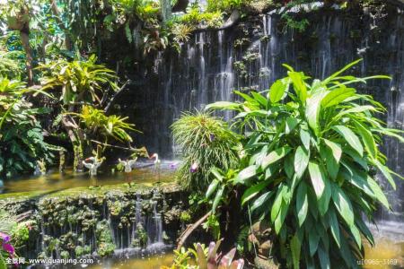 ·¢¸Äί:×¥µäÐͰ¸ÀýÖú¡°Òø·¢×塱¿çÔ½¡°Êý×ֺ蹵¡±