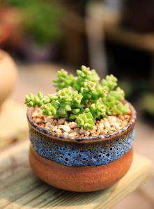 СÐÄ£¡Î±ÕÐÆ¸ÆÊõÉý¼¶Á´Ìõ±ä³¤ ÈÃÈËÔ½ÏÝÔ½Éî