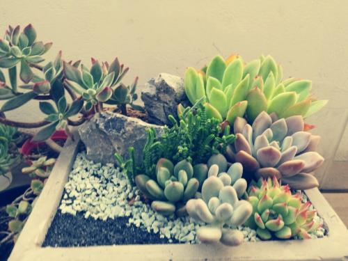 ÖÐÐû²¿ÊÚÓèÇൺ¸Û